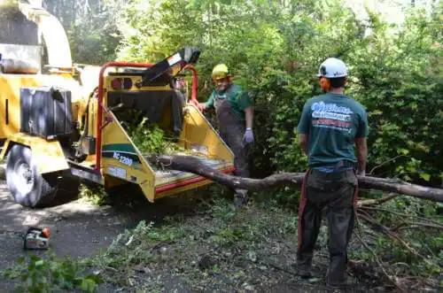 tree services Owensburg